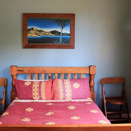 Chester St Backpackers Крайстчърч Екстериор снимка